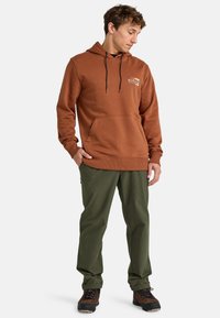 Felpa con cappuccio marrone con tasca frontale, dotata di cordini neri e una piccola etichetta con logo. Abbinata a pantaloni verdi e stivaletti marroni.