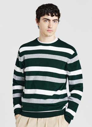 Calliope RIGHE - Pullover - var verde bosco