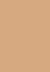 e3b58f- light medium warm peach