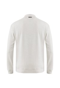 Svetle šedý svetr s dlouhými rukávy a límcem, texturovaná látka a žebrované manžety a lem. Zadní pohled s minimálními designovými detaily.