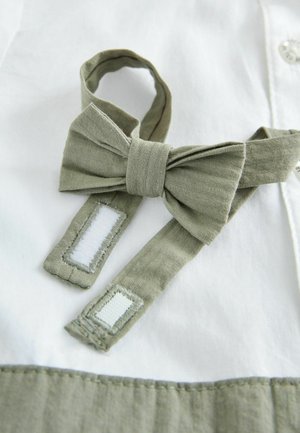 Groene linnen vleugstrik met twee verstelbare banden en witte stoffen delen, geplaatst tegen een witte achtergrond. Platte, gladde textuur.