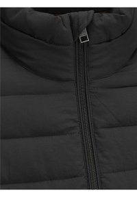Schwarze gep padded Jacke mit hohem Kragen, Frontreißverschluss und gestepptem Muster. Glattes Material mit dezentem Glanz und minimalen Hardware-Details.
