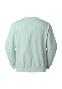 Lichtgroene trui met ronde hals, geribde manchetten en zoom, en een gladde stoftextuur. Geen zichtbare logo's of patronen.