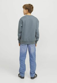 Jack & Jones Junior JORVESTERBRO CREW NECK NOOS - Ikdienas džemperis - stormy weather