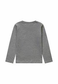Long-sleeve gray T-shirt made of soft cotton. Features a round neck and clean stitching at sleeves and hem. No graphic design or accents.