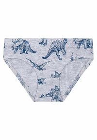Sive donje rublje s printom dinosaura u plavoj boji, s raznim dizajnima dinosaura. Tkanina ima glatku teksturu i elastičnu traku.