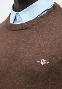 Barna pulóver kerek nyakkivágással, bordázott mandzsettákkal és szegéllyel. Egy kis hímzett címer mintájú logó díszíti. Világoskék galléros ing fölött viselve.