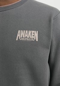 Grå sweatshirt med rund hals og ribbede manchetter, med "AWAKEN" trykt i fede hvide bogstaver og mindre tekst nedenunder.
