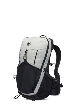 DUCAN 22 - Wandelrugzak - silver sage/black
