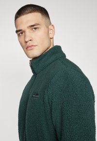 Columbia RUGGED RIDGE™ III FULL ZIP - Veste polaire - spruce/delta