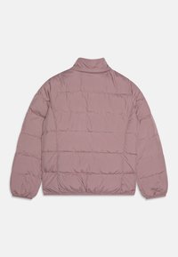 EA7 Emporio Armani OUTERWEAR JACKET - Lengva striukė - toadstool