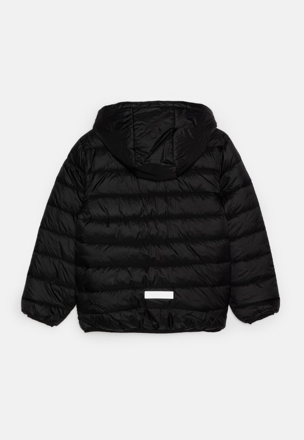 NKMMONEY - Winter jacket3