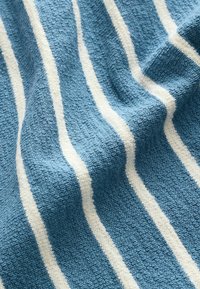 Next REGULAR FIT STRIPED - Kratke hlače - blue white