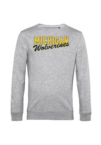 Grijze sweatshirt gemaakt van een katoenmix, met "MICHIGAN" in het geel en "Wolverines" in het zwart gedrukt op de borst. Lange mouwen, ronde halslijn.