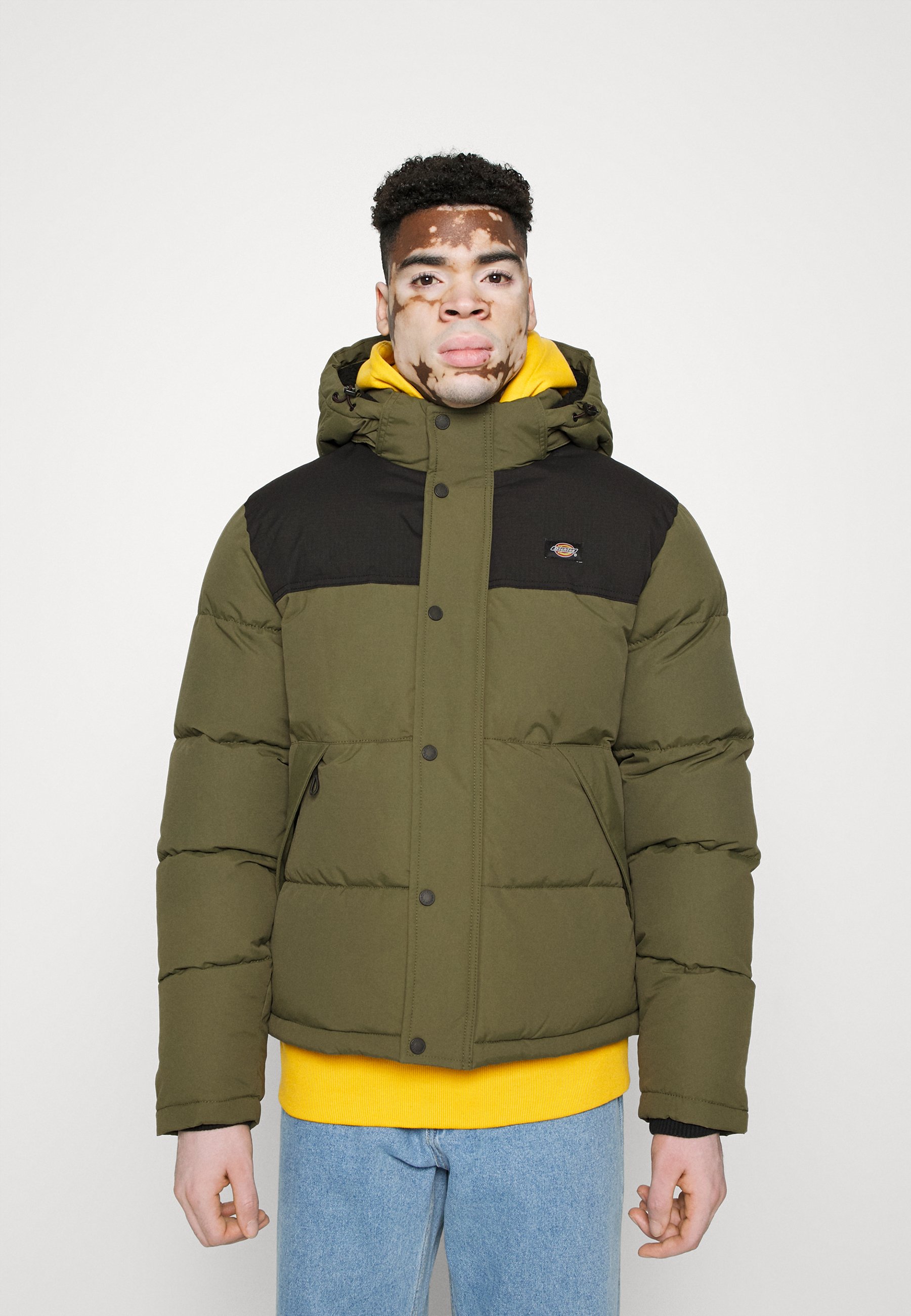 Dickies GLACIER VIEW PUFFER JACKET - Chaqueta de invierno military green/verde oliva - Zalando.es