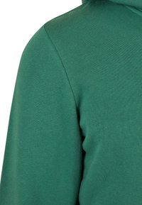 Felpa verde realizzata in tessuto morbido, che mette in mostra una texture liscia e una vestibilità comoda. Presenta un cappuccio e un design con maniche raglan.