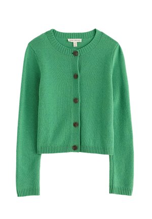 Seasalt Cornwall, SEASALT CORNWALL TERN TIDE CARDIGAN - Ζακέτα - green - pea pod