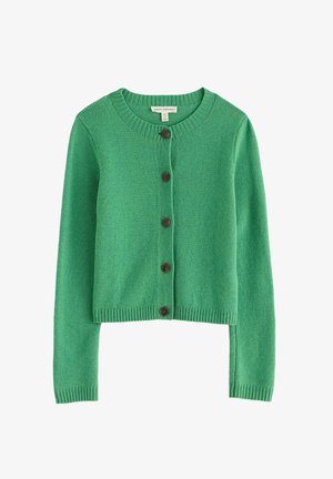Seasalt Cornwall, SEASALT CORNWALL TERN TIDE CARDIGAN - Strickjacke - green - pea pod