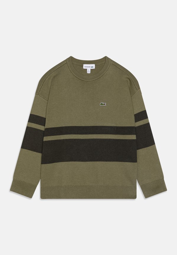 FALL WARDROBE - Jumper