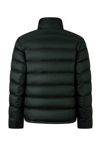 Schwarze gesteppte Übergangsjacke mit horizontalen Nähten, langen Ärmeln und hohem Kragen, von hinten auf einem weißen Hintergrund gezeigt.