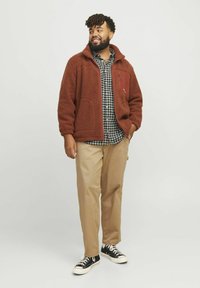 Jack & Jones JORVESTERBRO  - Vinterjakker - brown