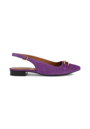 Paarse suède platte slingbacks met spitse neus, gouden gesp detail en lage zwarte hak, zijaanzicht op witte achtergrond.