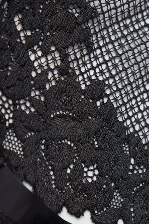 Tissu en dentelle florale noire avec un filet en maille délicat et une bande de bordure noire solide.
