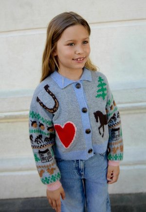 Next, REGULAR FIT - COLLARED CARDIGAN - Cardigan - grey horse