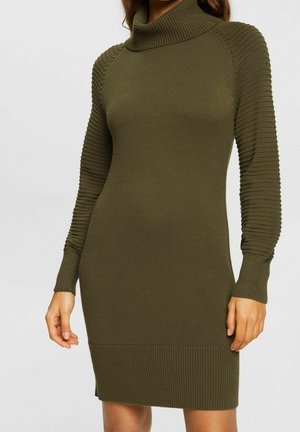 Woman wearing olive green knit turtleneck dress with textured long sleeves and ribbed hem, standing with arms relaxed by sides.