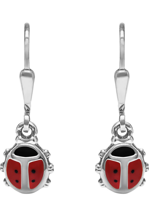 Ohrringe – bicolor