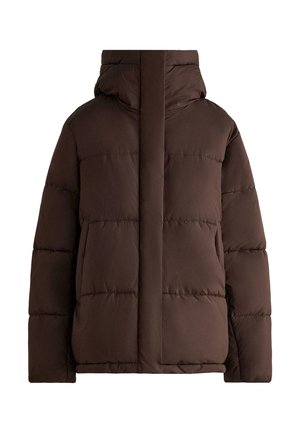 PRIMALOFT WATER-REPELLENT PADDED - Zimný kabát - brown