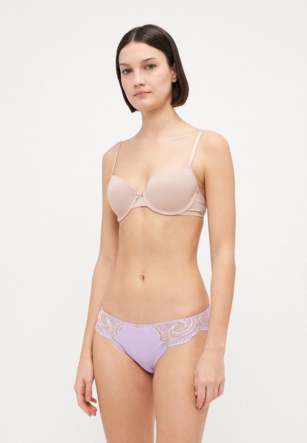 EVOLUTIVE BRIEF - Briefs3