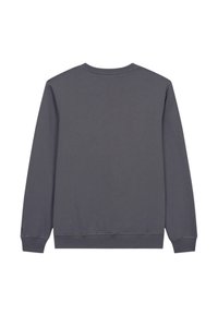 Szara bluza, prążkowany dekolt i mankiety, miękka tkanina, luźny krój, prosty design bez widocznych wzorów lub logo. Rzut z tyłu.