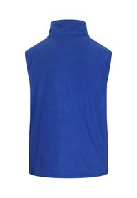 Gilet in pile blu con colletto alto, design senza maniche, texture liscia e colore uniforme. Nessun hardware visibile o motivi.