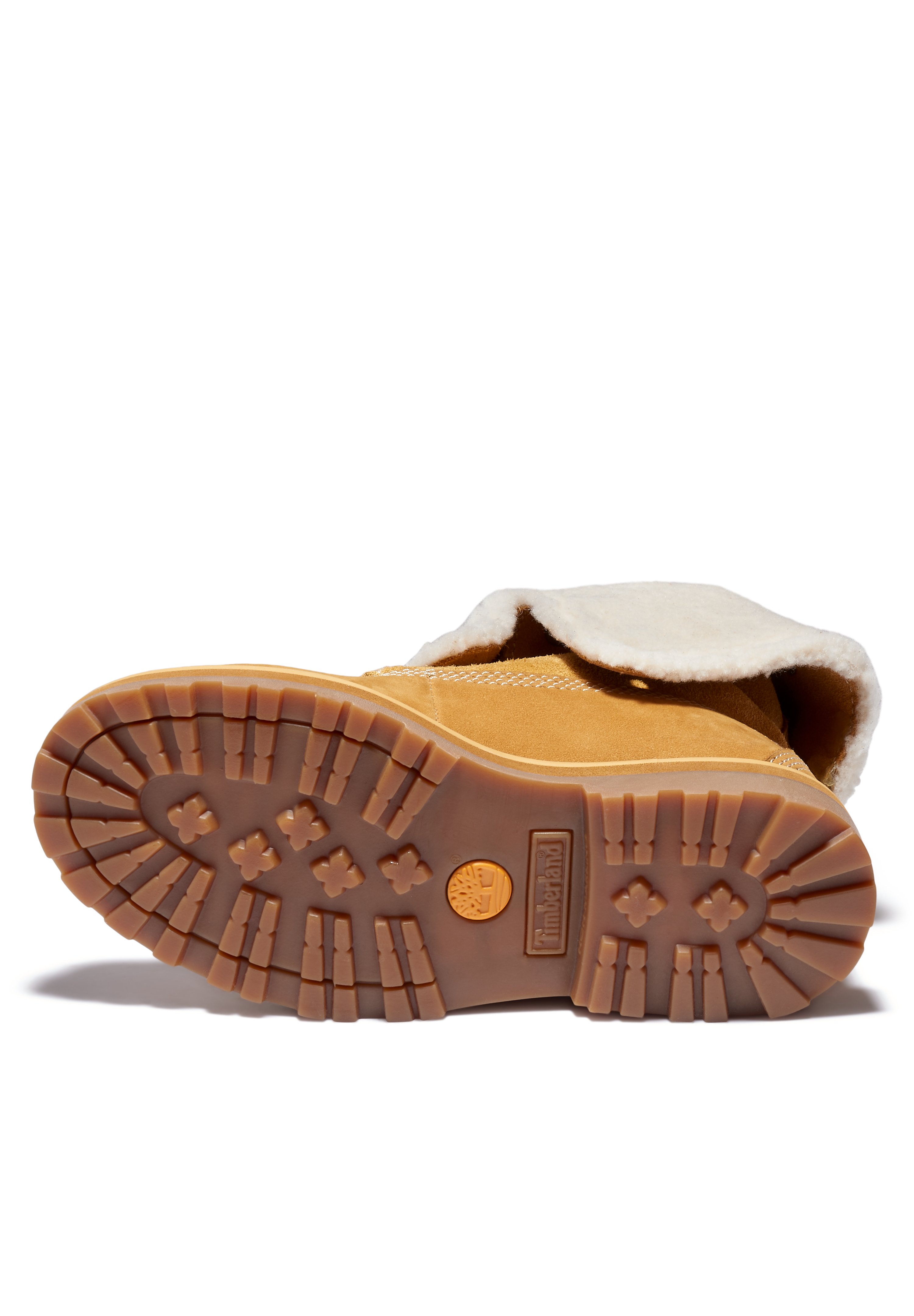 timberland dans la neige