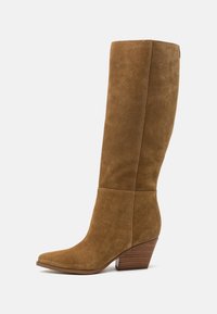 CALLY - Stivali texani / biker - brown