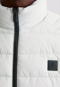 Hellgraue gesteppte Daunenjacke mit hohem Kragen, schwarzem Reißverschluss und Logo-Patch. Der Stoff ist glatt mit gesteppter Struktur.