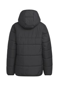 adidas Performance PAD - Giacca invernale - black