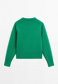 Grøn langærmet striktrøje med ribbet krave, ærmekanter og kant, vist bagfra på en hvid baggrund.