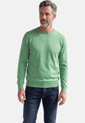 Middelaldrende mand med gråt skæg iført en lysegrøn rundhalset sweater og mørkeblå jeans, kigger mod venstre mod en ensfarvet baggrund.