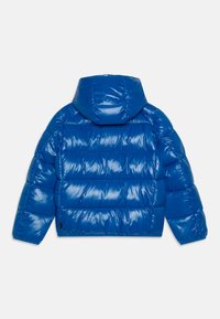 Save the duck ARTIE UNISEX - Giacca invernale - blue berry