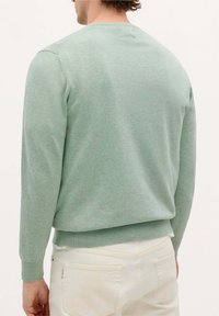 Helles grünes, langärmliges Sweatshirt mit Rundhalsausschnitt. Weiche Textur, eng anliegende Bündchen und Saum sowie ein einfaches, unverziertes Design.
