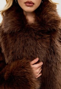 Cesare Gaspari Wintermantel - brown