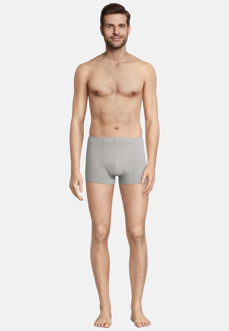 Men's gray cotton boxer briefs, fitted design, smooth texture, mid-rise waistband, no visible patterns or logos.