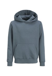 Jack & Jones EURBAN - Kapuzenpullover - grau