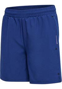 Blå sportshorts med elastisk midja, slät textur och sidoklipp för rörelsefrihet. Har en minimalistisk design och subtila detaljer.