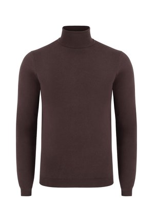 Brązowy sweter w serek o dopasowanym kroju. Wykonany z dzianiny, z długimi rękawami oraz prążkowanym dekoltem i brzegiem.