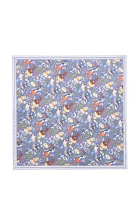 FABLE ENGLAND CATHERINE ROWE PET PORTRAITS MORNING - Sjaal - multi color