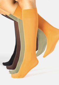 Cuatro pares de piernas que llevan medias altas y transparentes en negro, marrón, verde oliva y naranja, sobre un fondo blanco.