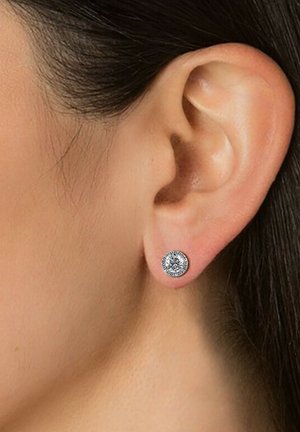 Zilveren studs met een ronde cubic zirconia in het midden, omringd door een halo van kleinere zirconia's, gezet in een gepolijst metalen basis.